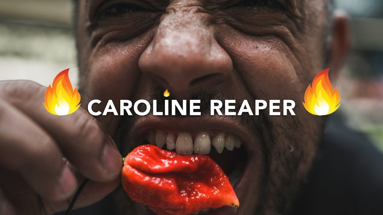 We eat the CAROLINA REAPER extremely dangerous and burning experience