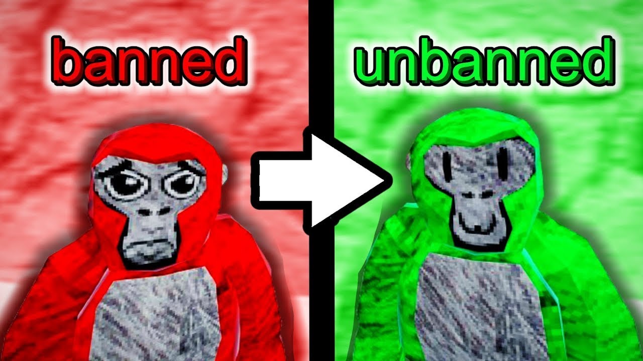 Best Gorilla tag unbanned Account generator!