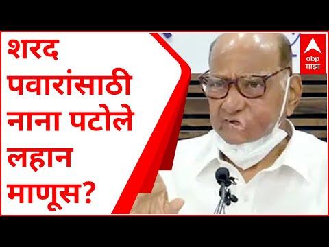 Sharad Pawar on Nana Patole : नाना पटोले यांच्यासारख्या लहान माणसांवर बोलणार नाही : शरद पवार