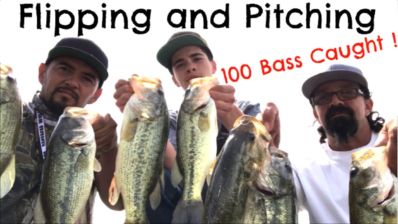 How To Fish For Largemouth Bass – Over 100 Caught! Fishing in Weeds!