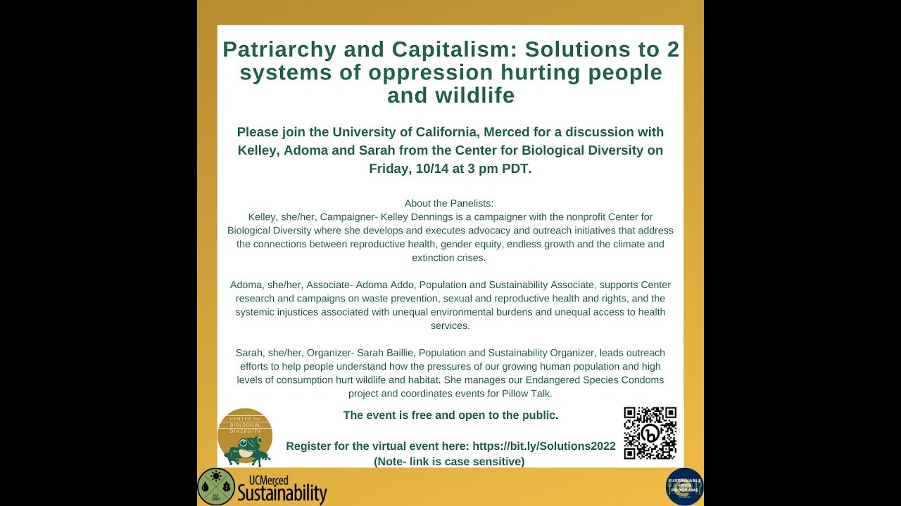 Patriarchy and Capitalism: Solutions to 2 systems of oppression hurting ...
