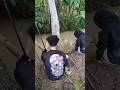 Extreme Fishing Adventure! Thunder Cracks Overhead
