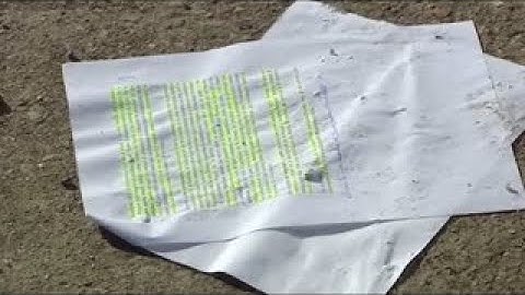 Detenido el conductor que atropelló a una menor de 17 años y se dio a la fuga | Madrid