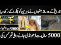 The world's most amazing hidden secrets in the world || Urdu Cover