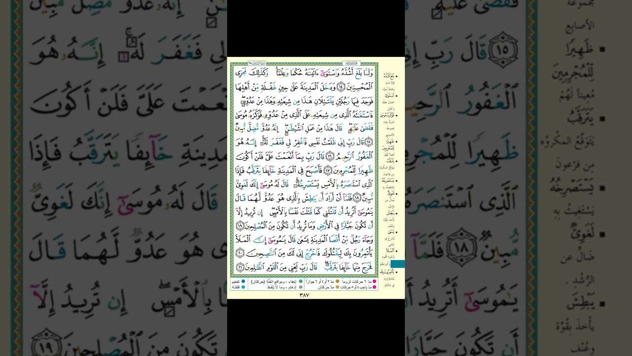 محمد مامون 14ديسمبر 2025