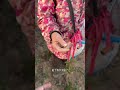 历史上最能吃苦的一批人 慢慢的就要退出历史舞台了 大姐说自己的手太脏了 我说这是最干净的手 农村生活 农民 历史上最能吃苦的一批人 慢慢的就要退出历史舞台了 大姐说自己的手太脏了 我说这是最干净的手 农村生活 农民
