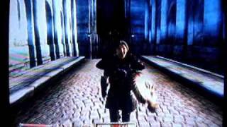 Pinarus Inventius Episode 2 Mages Guild