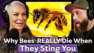 Beekeeper Reveals 10 INSANE Bee Facts You Won't Believe 🐝 | Joe Marler's Things People Do