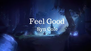 Syn Cole_-_Feel Good Lyrics