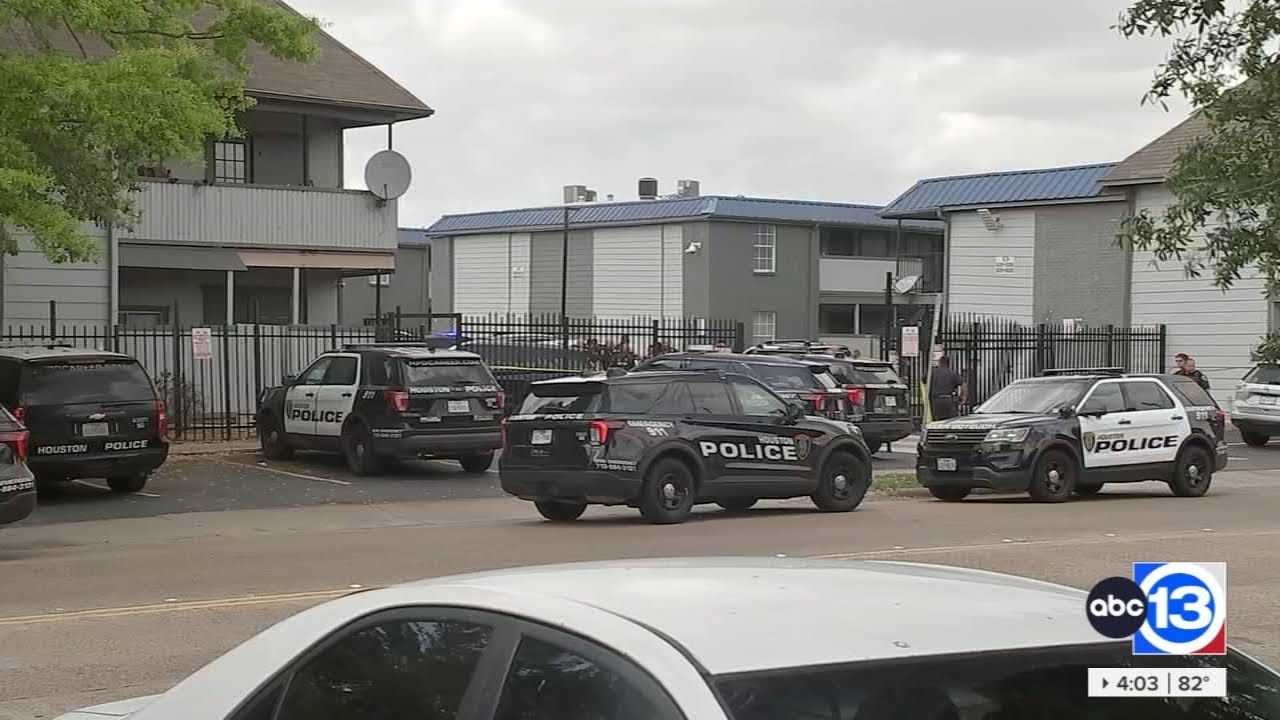 Man armed with butcher knife shot and killed by officers, HPD says ...