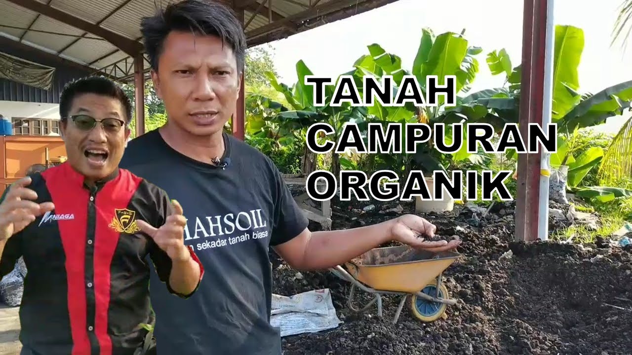Tanah Campuran Organik Jenama Suboor Untuk Tanaman Anda M Niaga