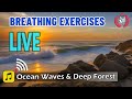 🔴 24/7 Live Breathing Exercises: Ocean Waves &amp; Deep Forest Serenity for Mindful Relaxation &amp; Health