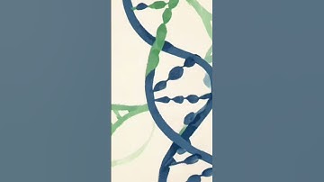 DNA vs RNA #kidseducationalcartoons #kidseducationalvideo #kidssciencegk