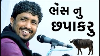 ભેંસ નું છપાકરુ | રાજભા ગઢવી | Rajbha Gadhvi | Maiya Music |