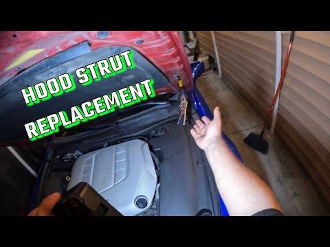 Replacing a Hood Strut On a 2009 Lexus ISF, How To Replace Hood Struts, F Sport Shift Knob Install