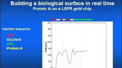 LamdaGen Building Biological Surface LSPR Slide01