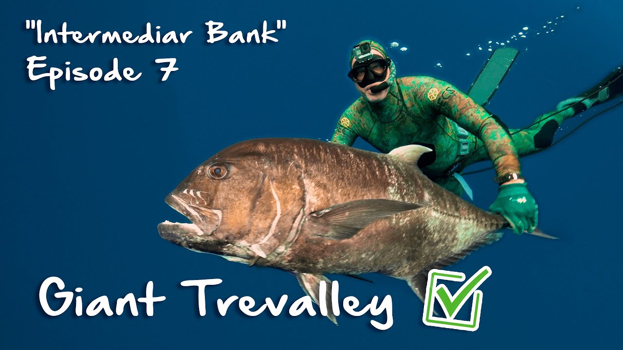 Spearfishing Madagascar - Spear Junkies Episode 7 