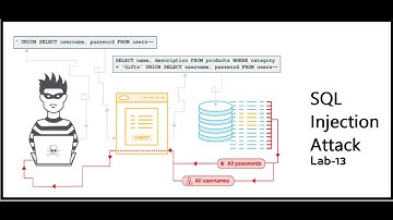 Blind SQL Injection with Time Delay - Lab#13