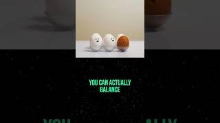 Myth or Fact: You can balance an egg on its end only on the spring equinox