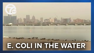 Belle Isle's beach remains closed due to high E. coli levels