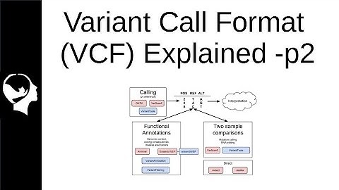 Understanding VCF file | Variant Call Format Part 2/3