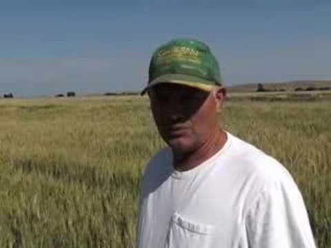 Meet an Idaho Farmer