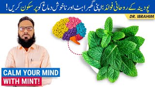 Pudina Ke Rohani Fawaid! Peppermint's Spiritual Benefits On Brain Health - Urdu/Hindi - Dr. Ibrahim