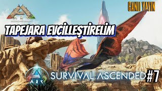 Tapejara Evcilleştirelim #7 | #ArkSurvivalAscended #scorchedearth