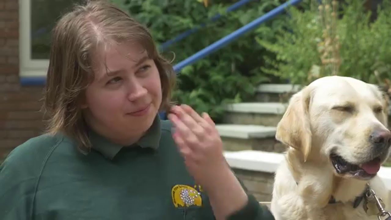 How our Community Dogs help to bring calm and learning to school settings | Dogs for Good