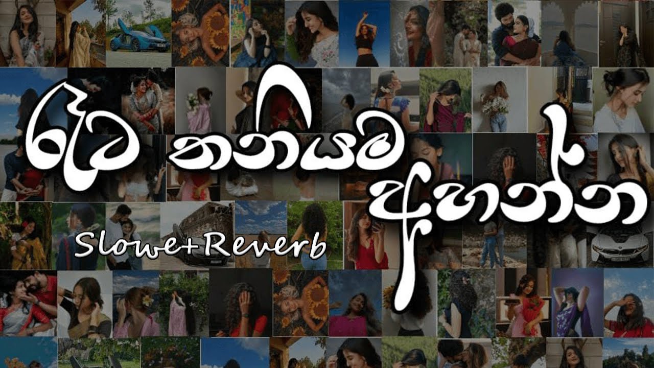 රෑට තනියම අහන්න මතක අවුස්සන මනෝපාරකට | Slowed and Reverb Songs |