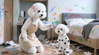 Naughty Baby Puppy Blame Their Friend 😳🐶, Mom Dog Teaches Puppies About Honesty