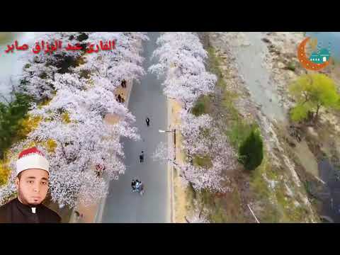 قال يابن ام ان القوم استدضعفوني وكادو يقتلونني فلا تشمت بي الاعداء القارئ عبد الرازق صابر