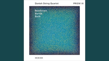 Bartók: String Quartet No. 1, Sz. 40: II. Allegretto