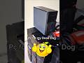 PC for my Dead Dog🥺🙏😈❤️🤨