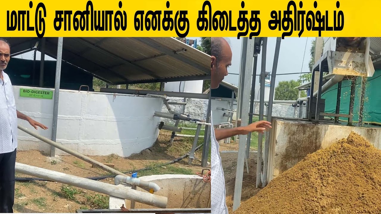 மாட்டு சானியால் எனக்கு கிடைத்த அதிர்ஷ்டம் /A farmer who earns income from cow dung,