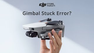 How to Repair DJI Mini 2 Gimbal Stuck Error?