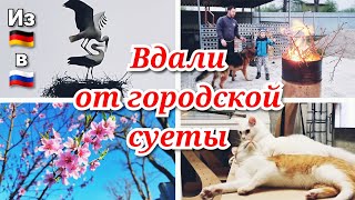 💞Удалось заснять редкие кадры/Наш участок преображается🤩/Работаем и отдыхаем всей семьёй во дворе💪🏼