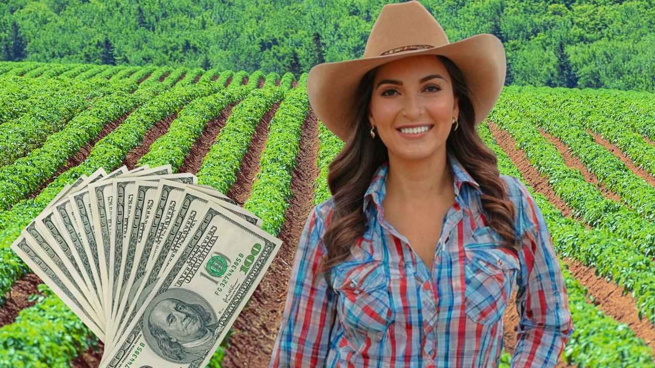 LOS 10 CULTIVOS MÁS RENTABLES PARA HACER RICO A CUALQUIER EMPRENDEDOR