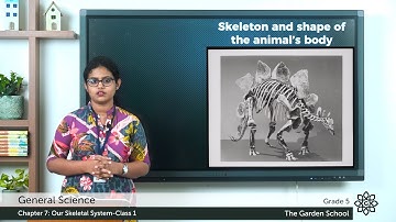 Grade 5 General Science Chapter 7 Class 1 Skeleton and Shape of Animal Body, Human skeleton