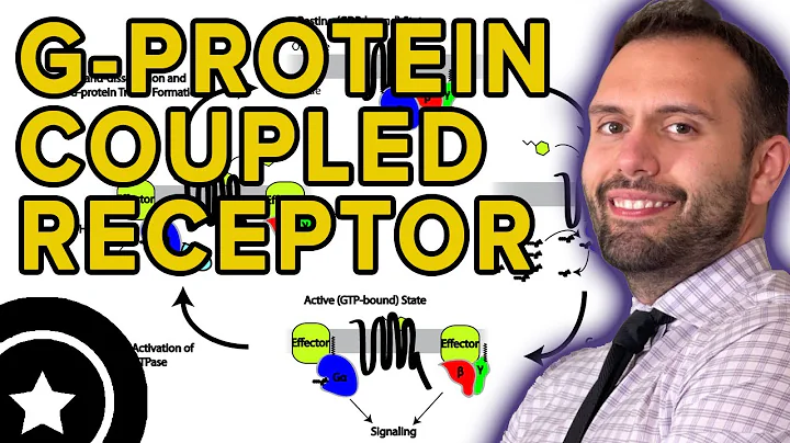 G-Protein Coupled Receptor Vasoconstriction Pathway | HIGH-YIELD CARDIOLOGY | USMLE STEP 1