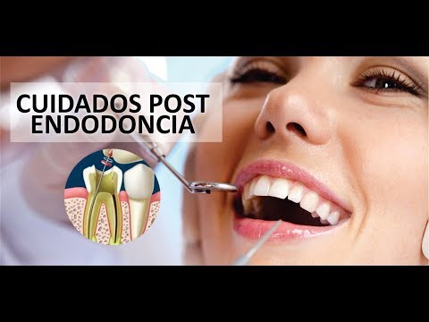 QUÉ CUIDADOS DEBES