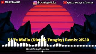 Dj Te Molla (Simple Fungky) Remix 2K20