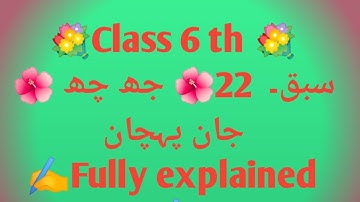 #Class 6th #chapter 22# جھ/چھ# jaan pehchan#  fully explained# cbse ncert solutions#
