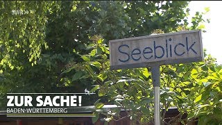 Vor Ort in den Rheinauen | Zur Sache! Baden-Württemberg