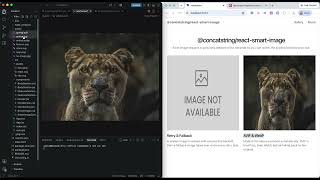 React Smart Image Demo | Retry, Fallback & AVIF/WebP Support