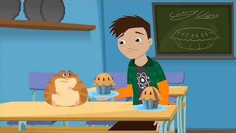 "He ate my Maths book" Past Simple Affirmative (irregular verbs)