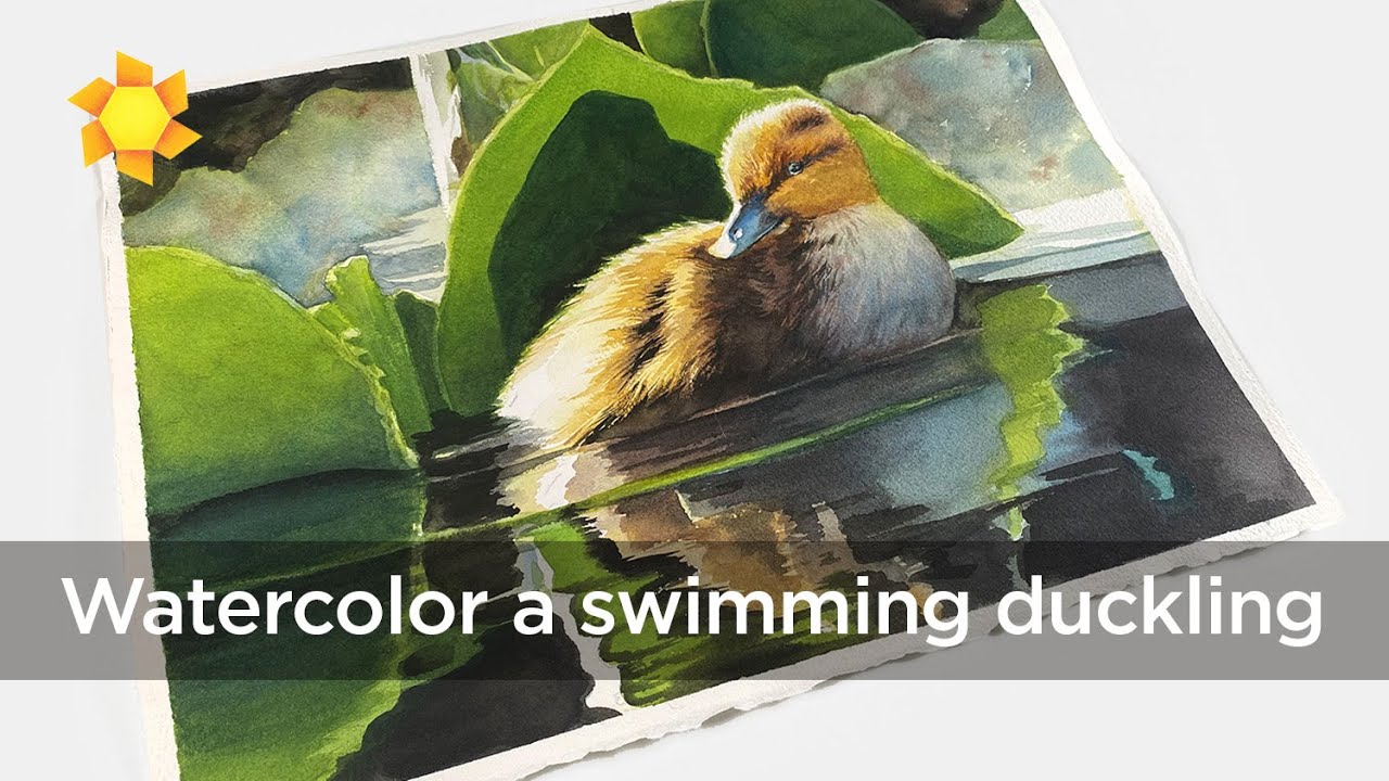 Watercolor a swimming duckling (testing a color)
