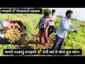 વરસાદું મગફળી 🥜 નીકળવાની સરૂઆત ll magfali nikalvani saruaat ll pk vadhaniya #magfali #trending