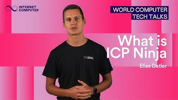 Build Web3 Apps in Minutes | What is ICP Ninja? | Elias Datler