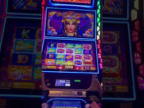 How to use Put Bets in Casino Craps